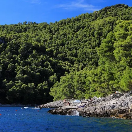 By The Sea Brna, Korcula - 12614 Smokvica